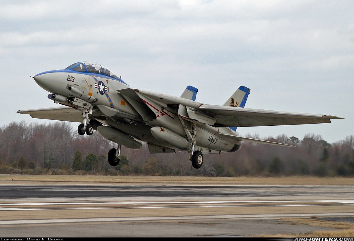 猫宁。VF-213Blacklions黑狮中队旗下F-14大猫