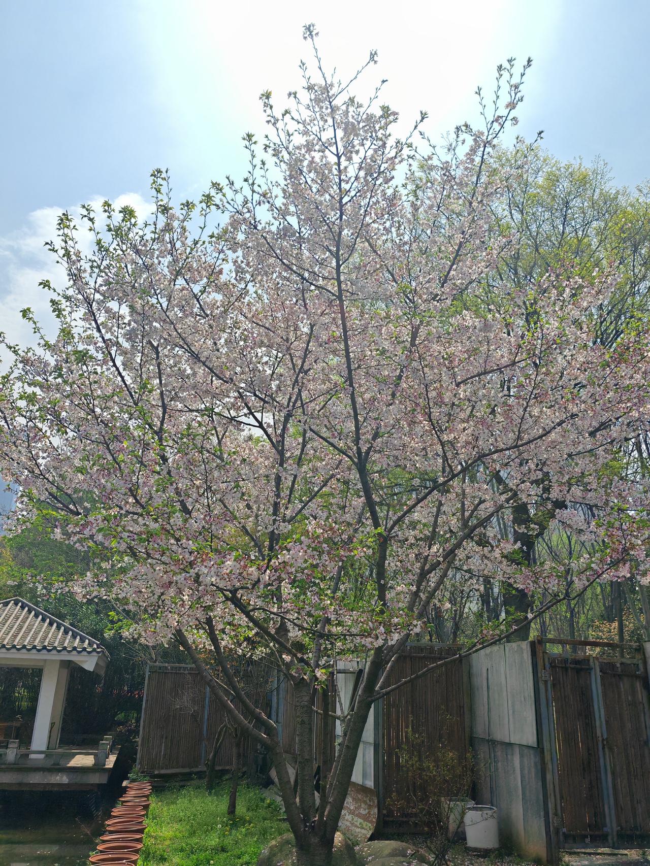 晒出你的本地生活武商梦时代，那可是武汉本地超火的打卡地！我上次去，一进去就被它