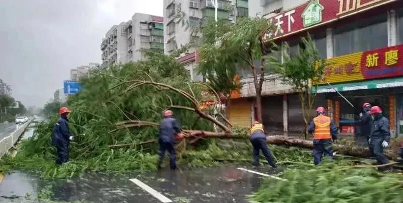 台风“韦帕”为强台风级，预计会带来强降雨，需要高度警惕，这是一场破坏力强的自然灾