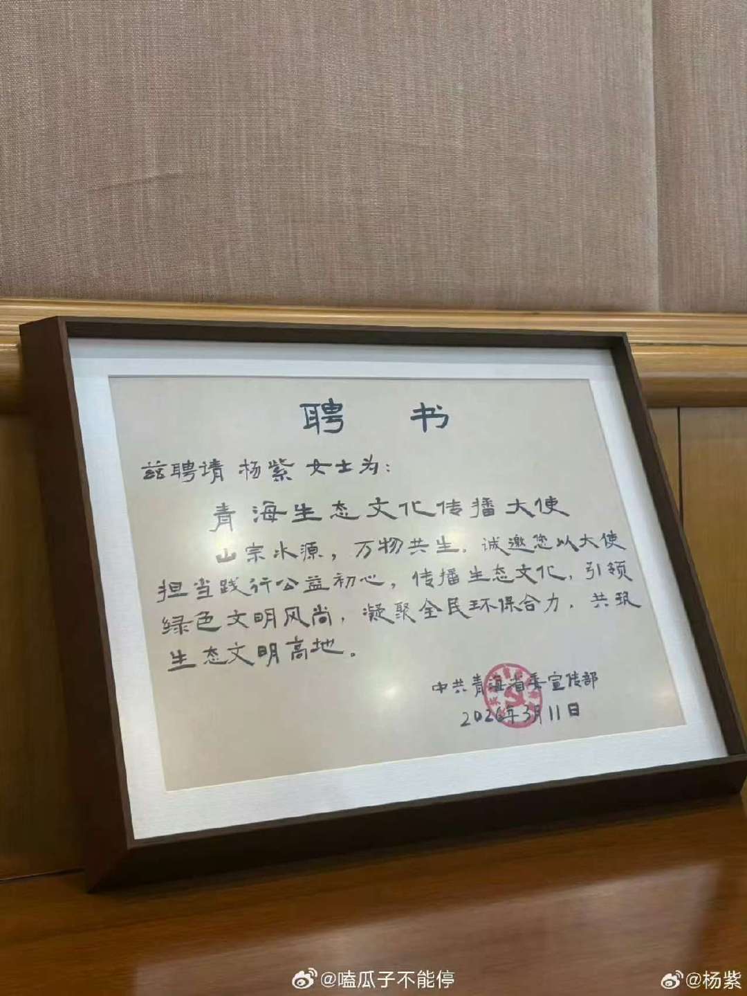 杨紫连拿三个奖项杨紫连获三个奖项好优秀的紫！杨紫