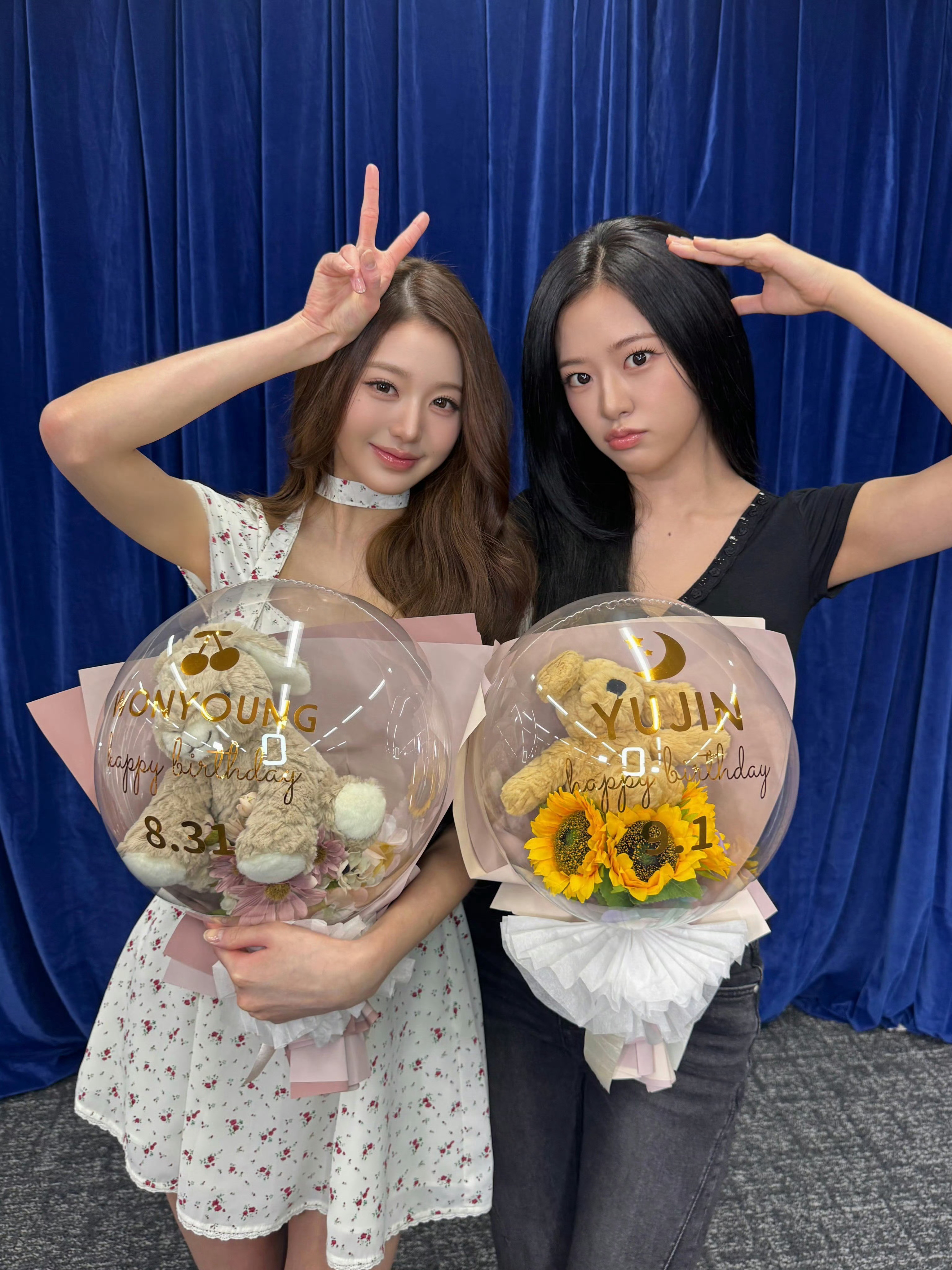IZONE🐶🐰🥳张元英安宥真​​​
