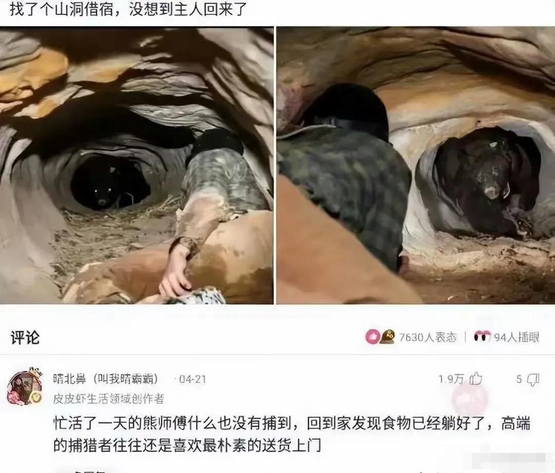 高端的捕食者往往还是喜欢最朴素的送货上门！[呲牙笑]