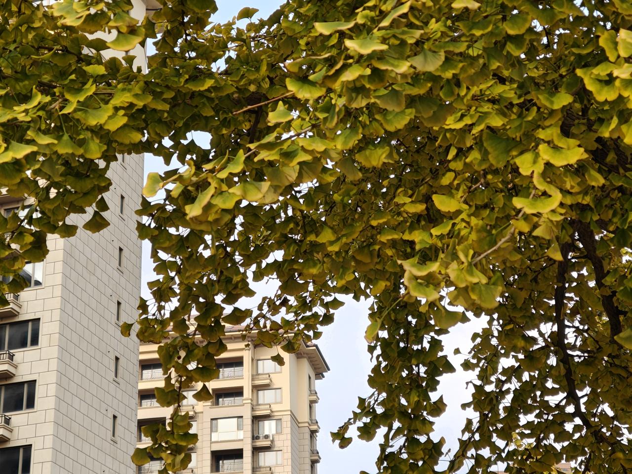 退休了，难免生病看医生，日前在医院输液，和临床的患者闲聊，都对衰老感叹不已。不过