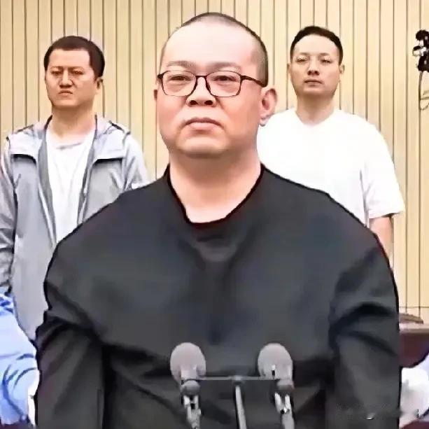 华融除赖小民白天辉外还有哪些高官被查？①秦岭原华融