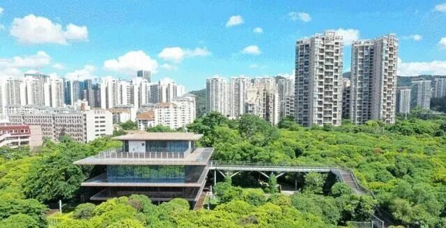 半年涨近2万/㎡! 深圳这些小区逆势狂飙, 但更多人正在"割肉"离场