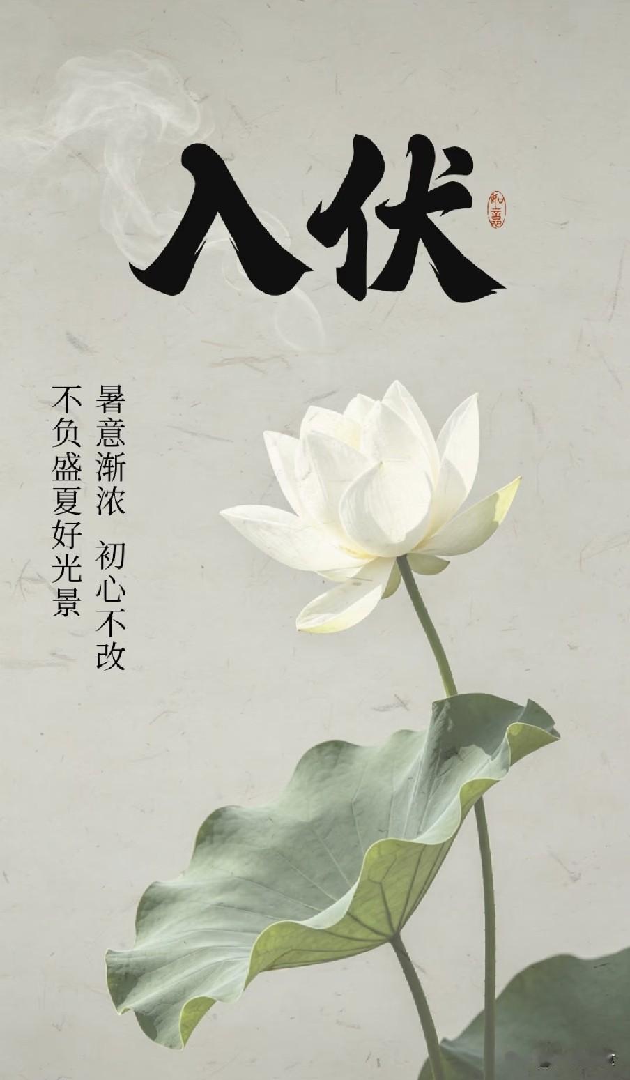 明日入伏，建议大家：少吃生姜和绿豆，多吃4样，养阳散寒不上火明日将迎来20