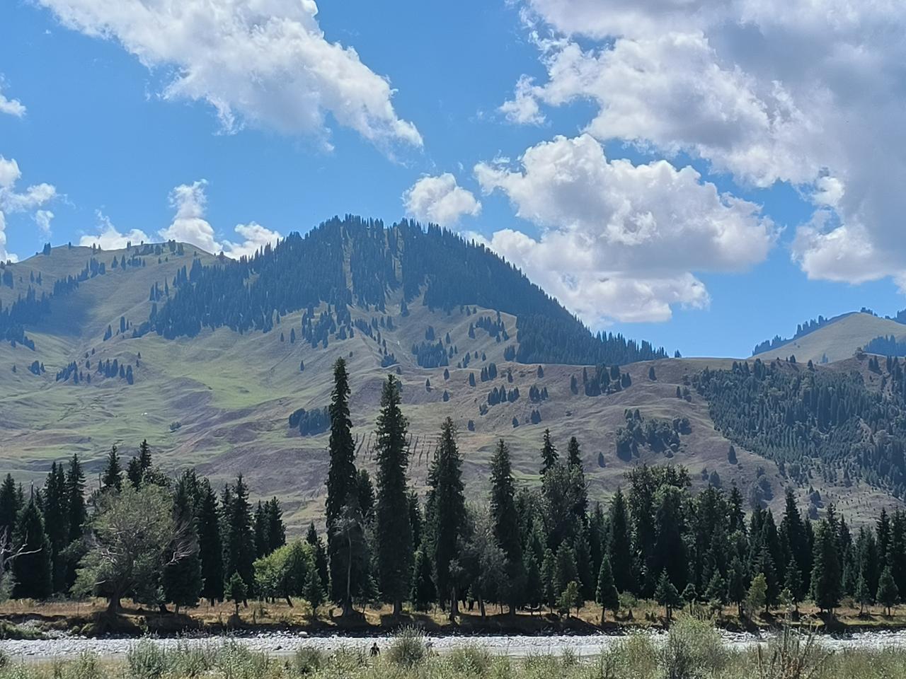 住我楼下的王阿姨最近碰到了糟心事王阿姨今年65岁，退休金一个月2800元她3