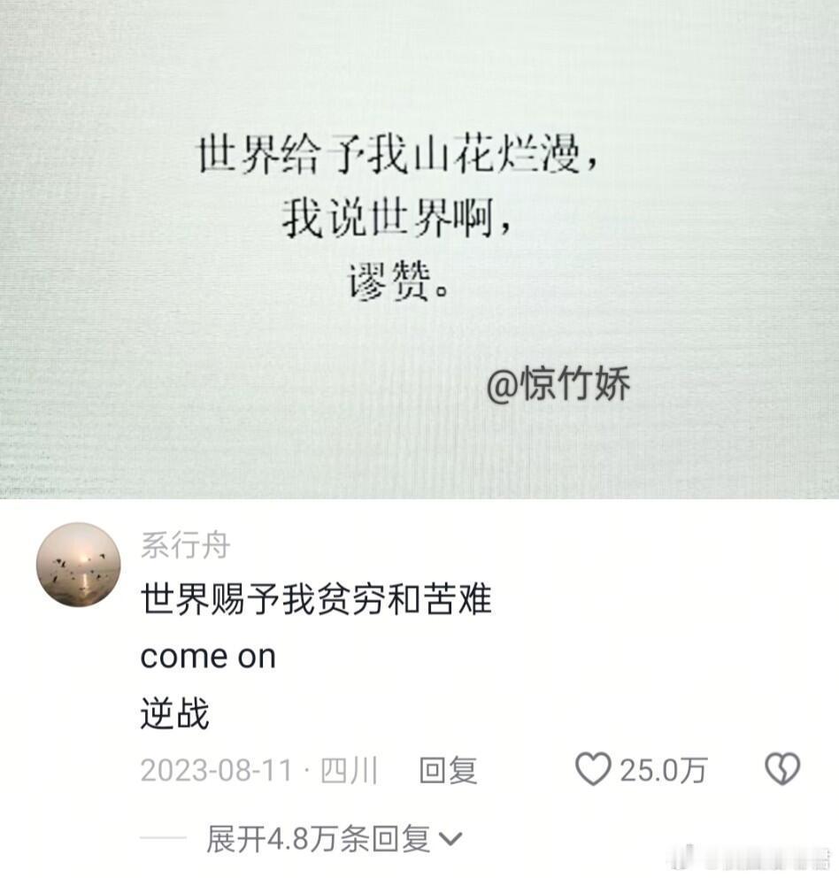 评论罗伯特说：说的都是废话，但是莫名又觉得有道理。