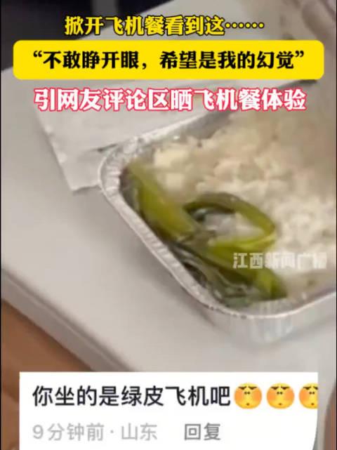 女子吐槽飞机餐仅1根青菜配米饭，热搜第一后反转太意外2月7日，女子发vlog
