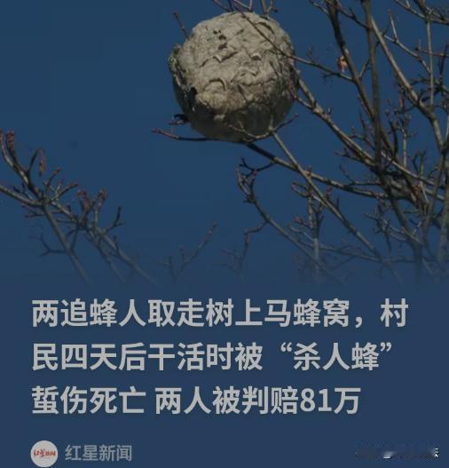 赚小钱却惹上百万赔偿！贵州，两名男子摘马蜂窝赚钱，结果成了被告，要求赔偿116万