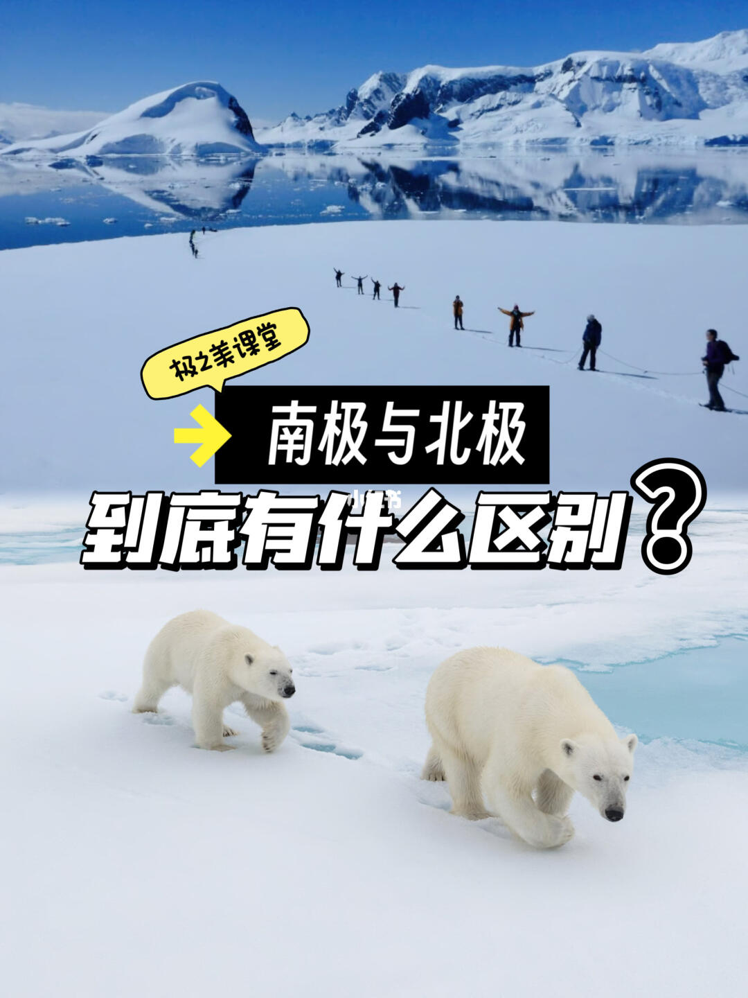 一分钟带你了解：南极和北极，有什么不同❓