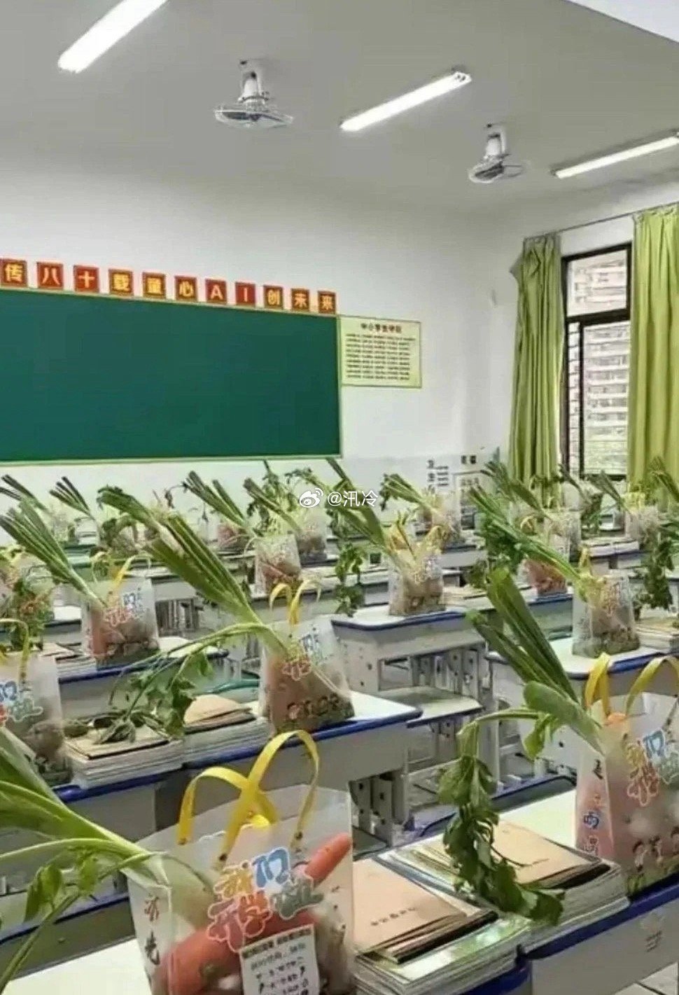 班主任看见得头大吧