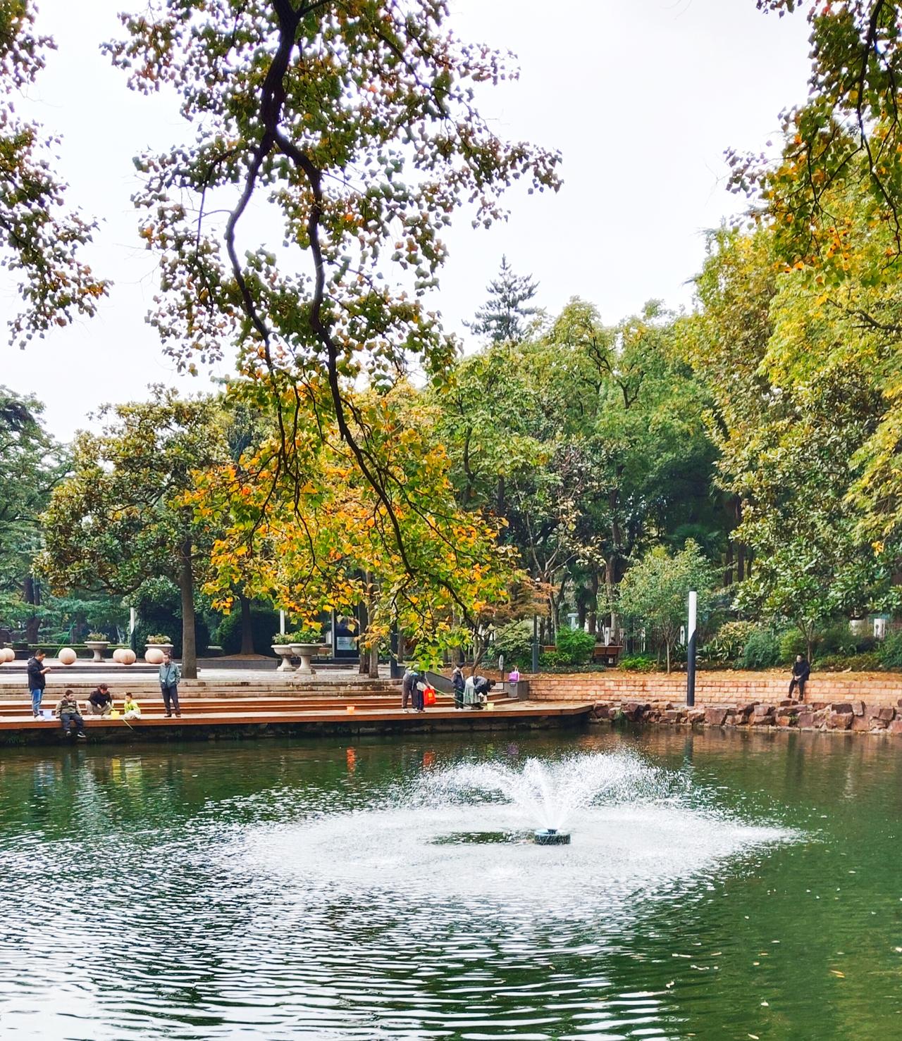 当生活再也没有那些惊喜和感动，突然才发现，孤独其实是最大的自由生活，总是在不