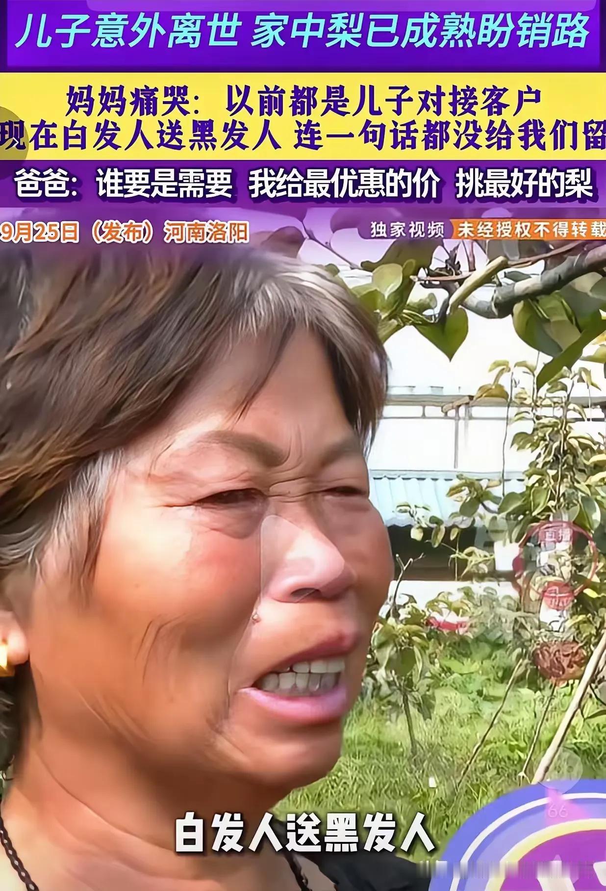 泪目！河南洛阳老两口遭遇白发人送黑发人，儿子骤然离世，数万斤成熟梨子销路成难题，