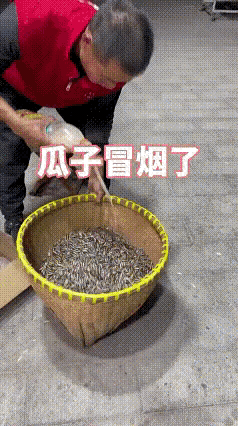 这是真的吗？