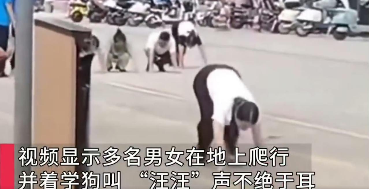 广东惠州街头最近出了桩稀罕事——10月16日，惠阳区开城大道附近，七八个成年人突