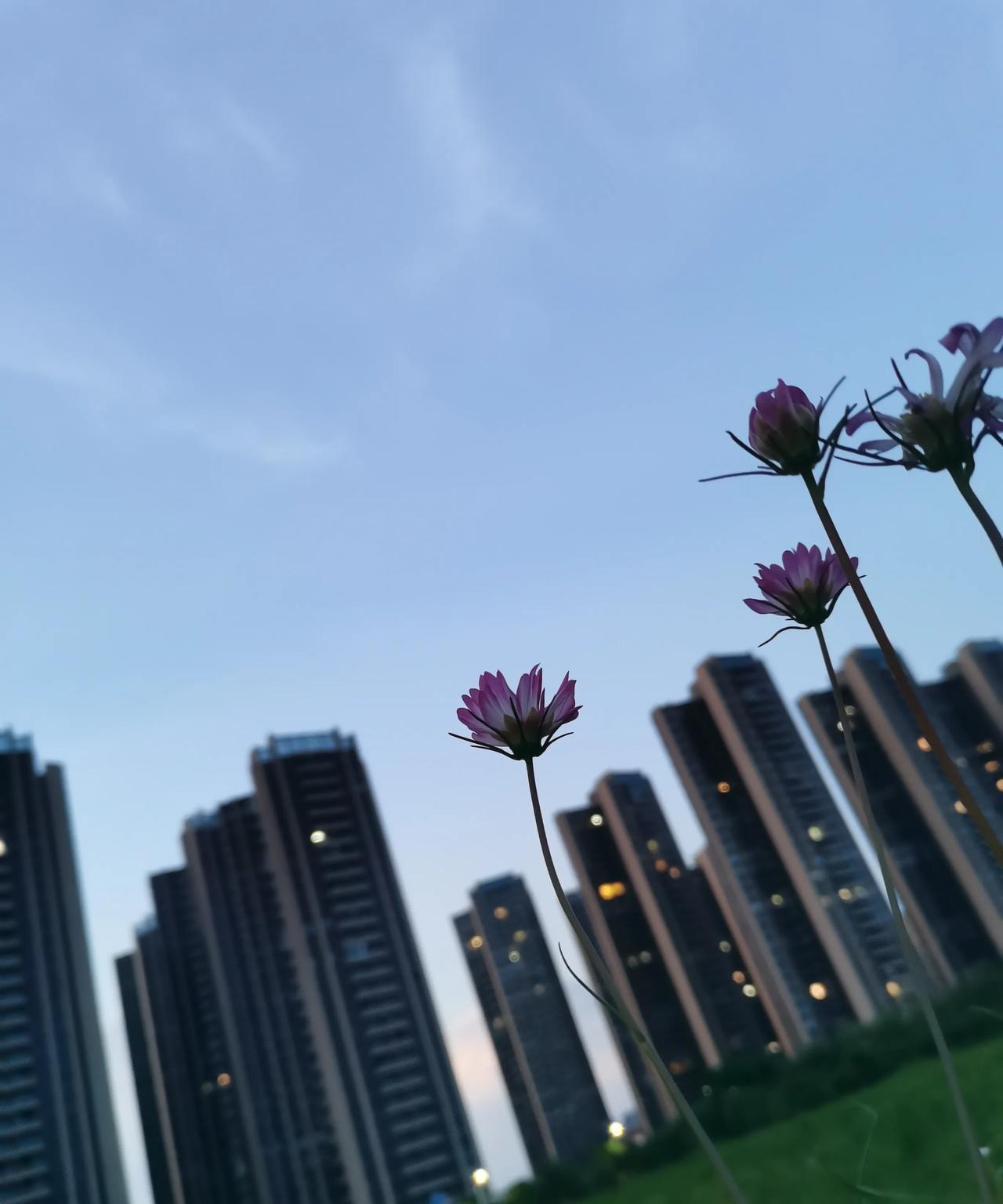 邻居家里吵架，吵得很厉害，村里很多人都去围观，原来是女人的娘家爸爸来了，女人跟他