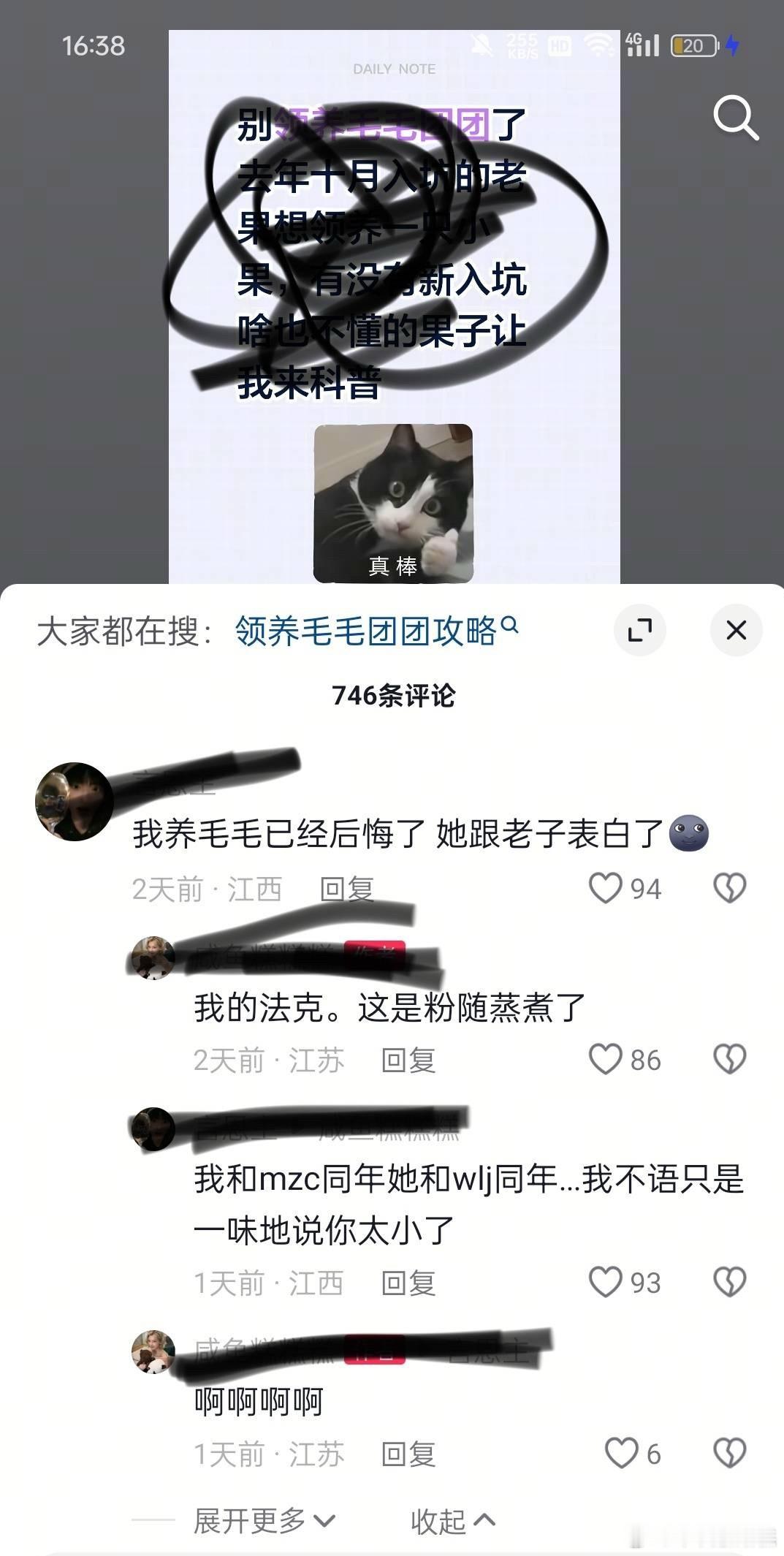 tg后悔领养毛毛！她跟劳资表白了！