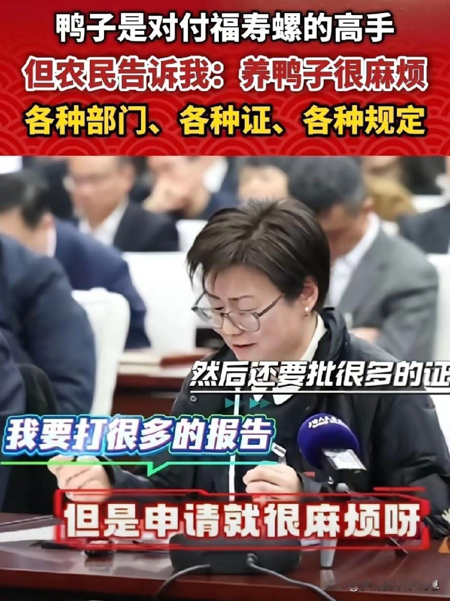 上海人大代表在两会中说“养鸭子可以防治福寿螺”，这种想法虽然很有代表性，但可行性