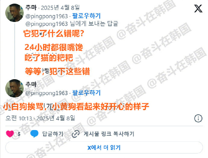 小白狗因为做错事正在向妈妈道歉的珍贵场面海外新鲜事热点现场