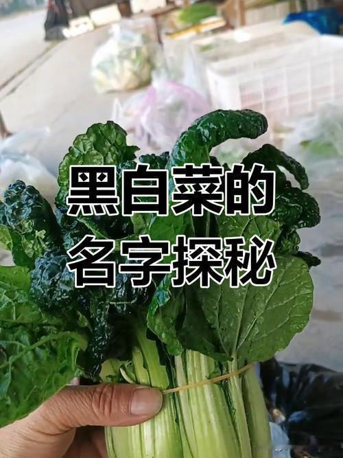 肝脏是一个哑巴器官，简直就像一个有担当的男人，只知道一味的付出。吃饭的时候，给什