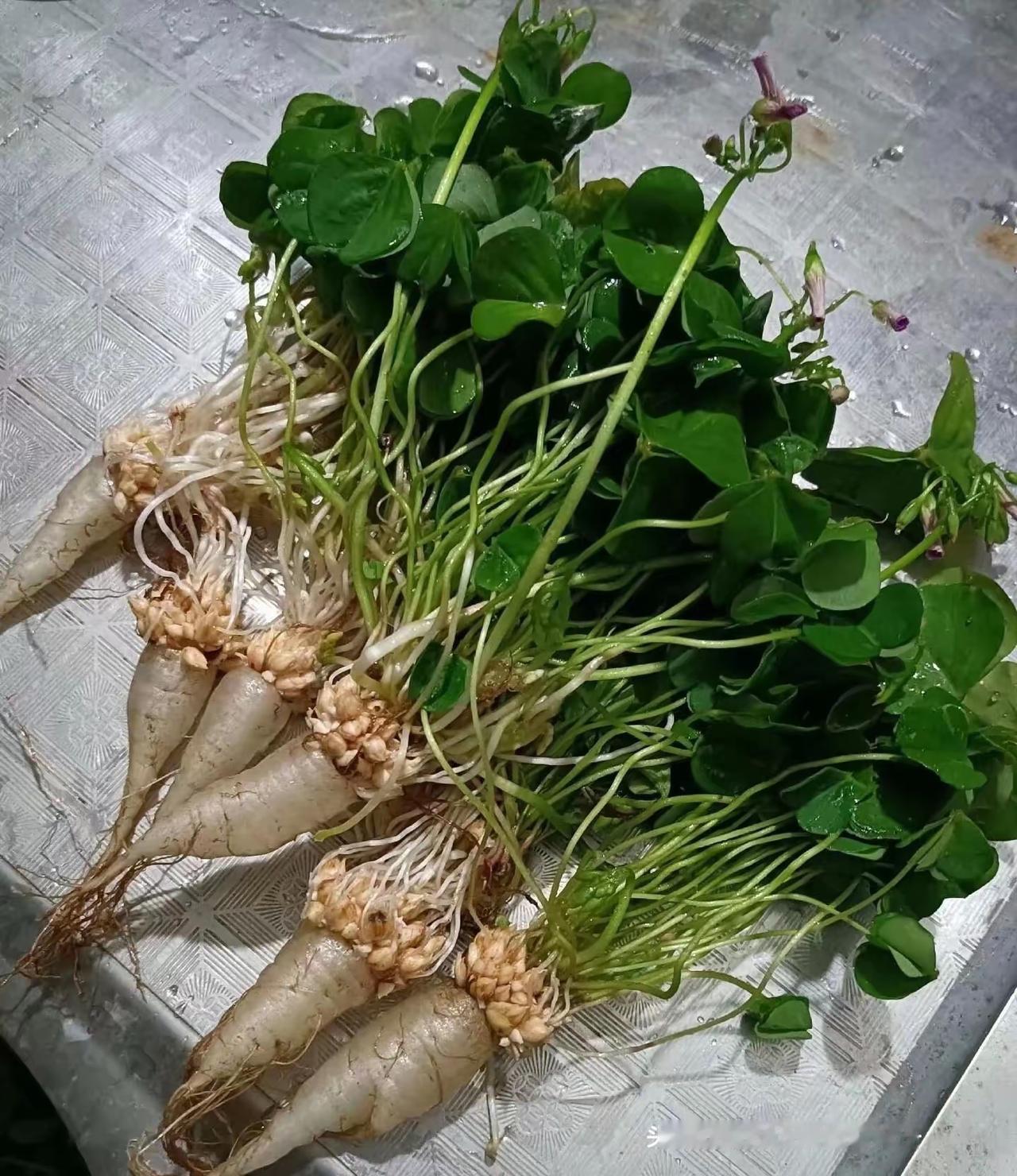 盲猜大多数人不知道这玩意到底是啥？这玩意没有多少人知道了吧？