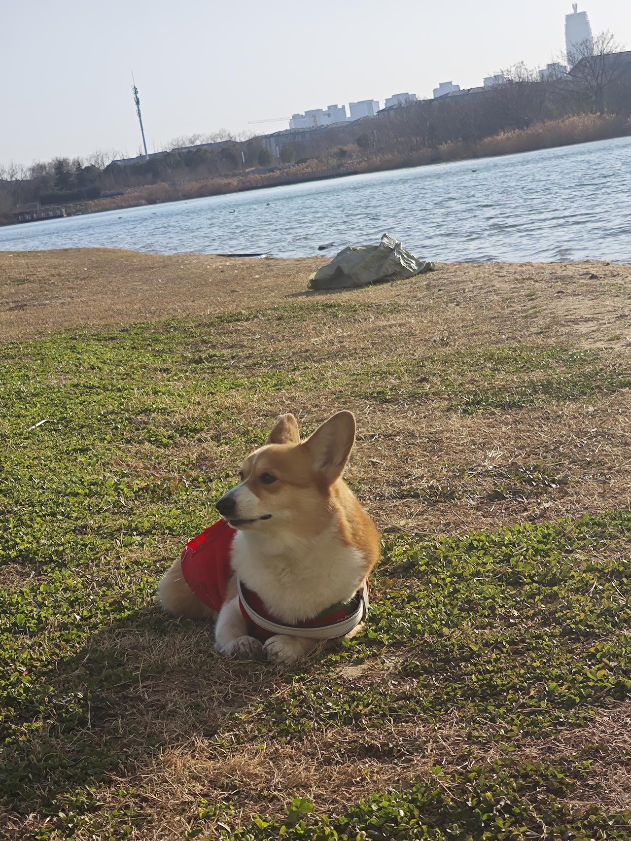 过去的已过去，不再去想那么多，未来我不再去猜测和焦虑。我唯一能掌控的，认真地吃好