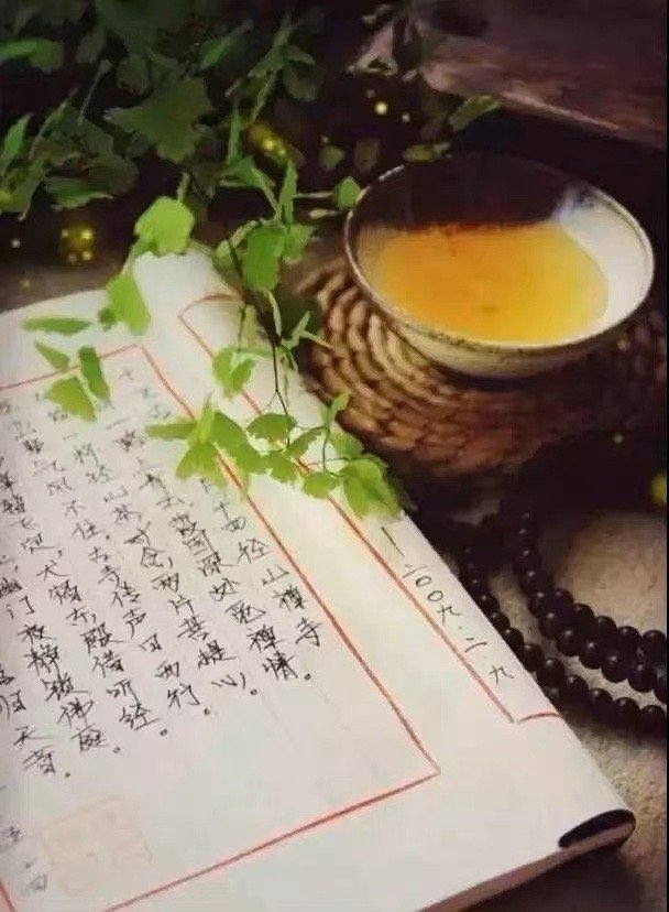 闭门即是深山，读书随处净土。——陈继儒《小窗幽记》​​​