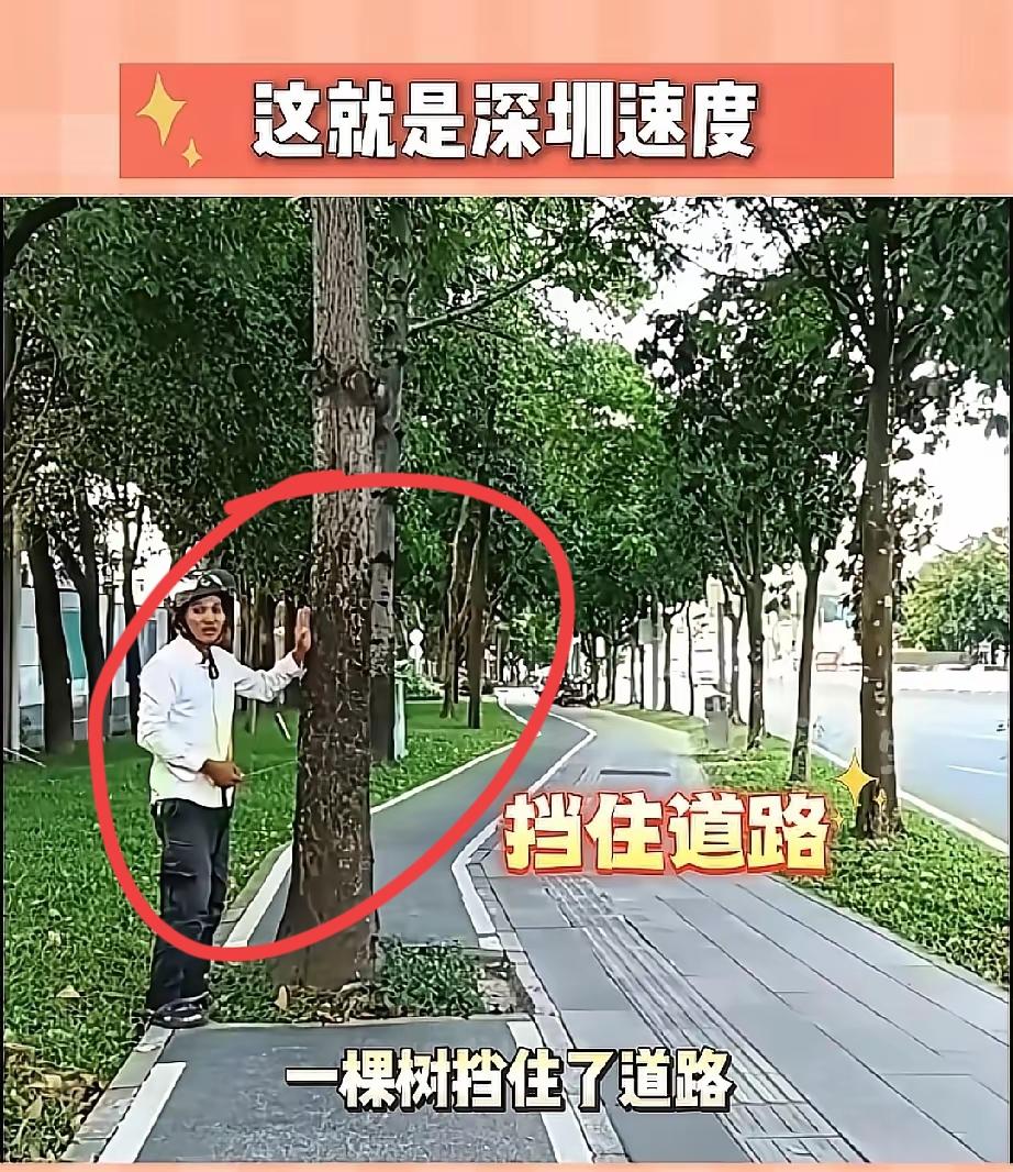 深圳这波“听劝”真的戳中人心！谁能想到普通市民拿把卷尺拍视频“挑刺”，市政部门