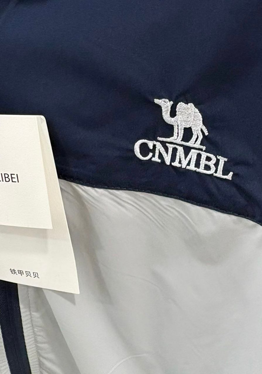 这衣服是不是骂我了