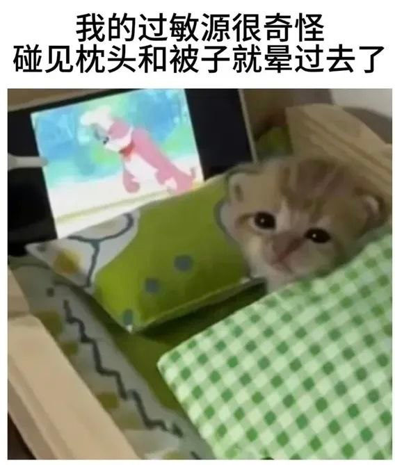 好神奇呀