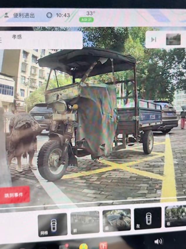 湖北孝感，车主正常在停车位停车，一女子鬼鬼祟祟从旁边店里走出来，直接放钉子扎他的