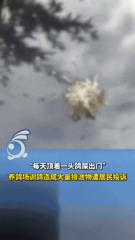 “缺德缺到家了！”辽宁盘锦，一女子清晨打算上班时，突然看到车顶有非常多鸟屎，随后
