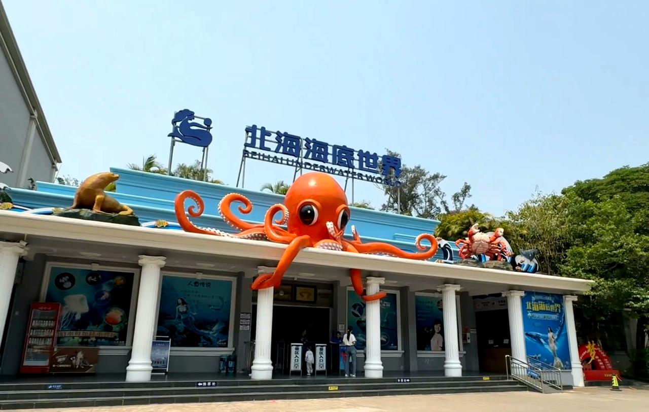 北海海底世界真的被低估了带娃来北海游玩，早上，傍晚不热去海边，中午就去北海海