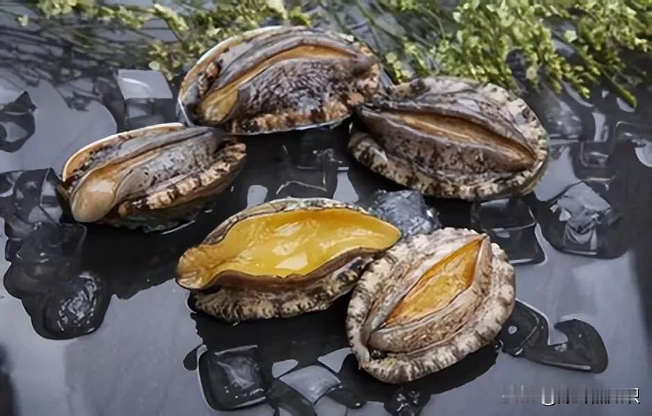 吃鲍鱼与饺子小知识:1，饺子鲍鱼都得下午吃才有味道，最好是在办公室，书房，等工