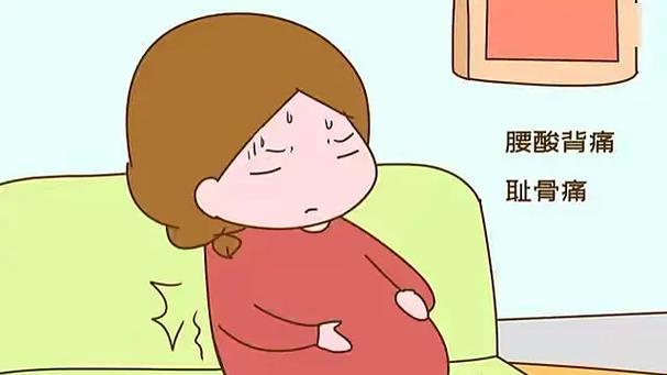 孕妇骨盆前倾会影响胎儿发育吗?