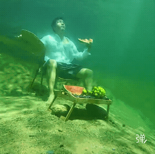 坐在透明玻璃鱼缸后面拍的!