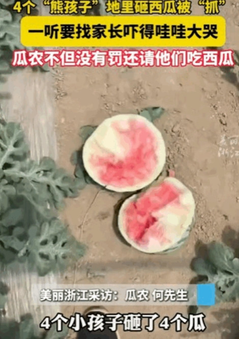 笑不活了！浙江台州一男子在自家瓜田巡逻，隐约间听到细微的声音，走近一看，原来是4