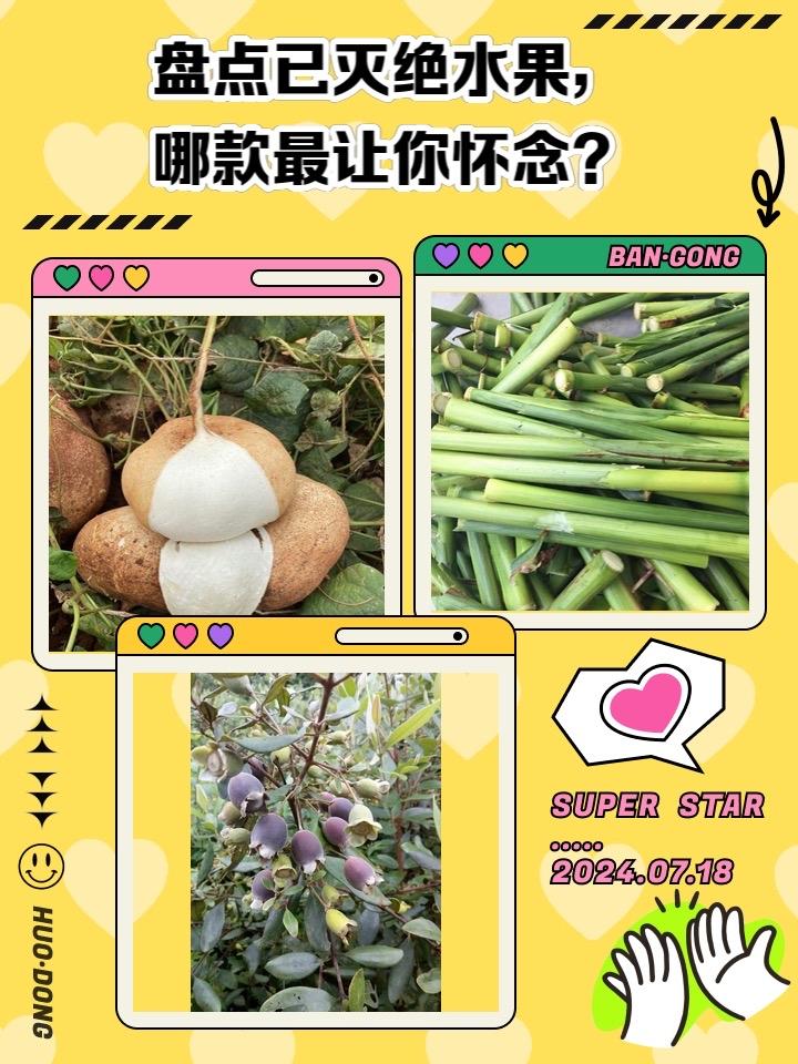 老式水果为何消失了？不是灭绝，是被时代悄悄"淘汰"了！逛遍超市水果店，阳光玫