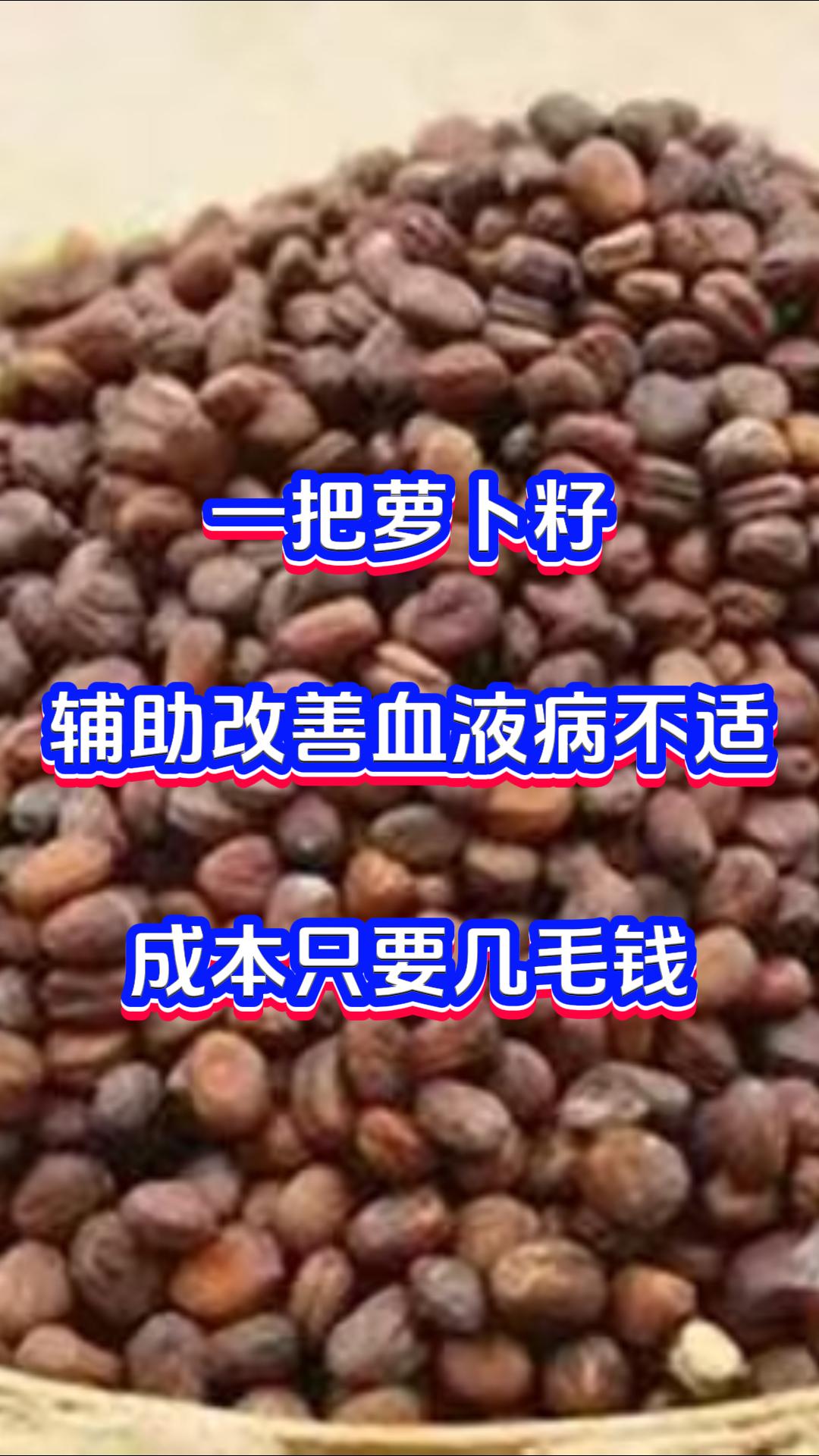 一把萝卜籽辅助改善血液病不适，成本只要几毛钱大家好，我是中医张广蕊医生。要是