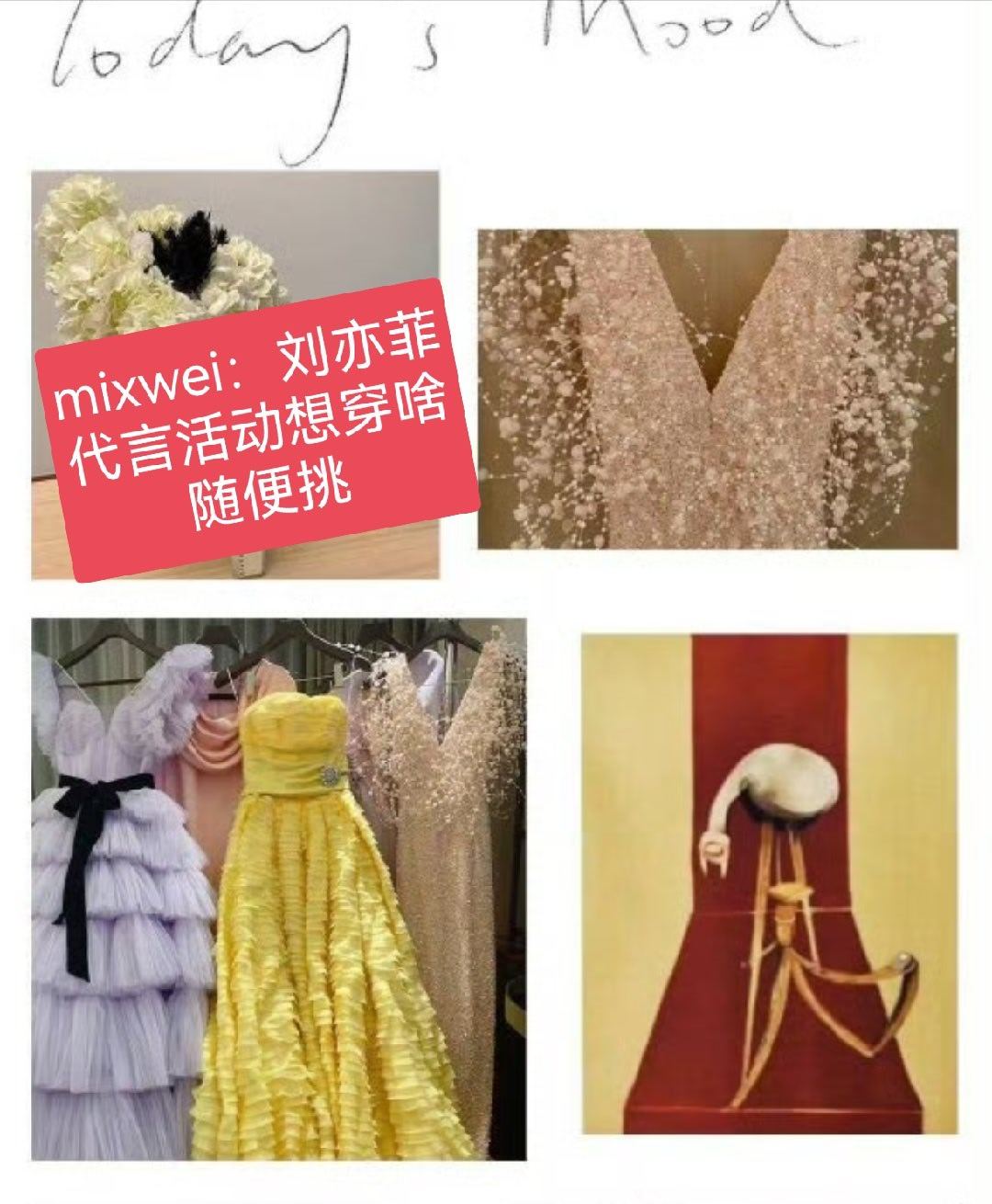 刘亦菲迪丽热巴巴粉想要的高定自由刘亦菲都给你，闵塔鲨wwzz