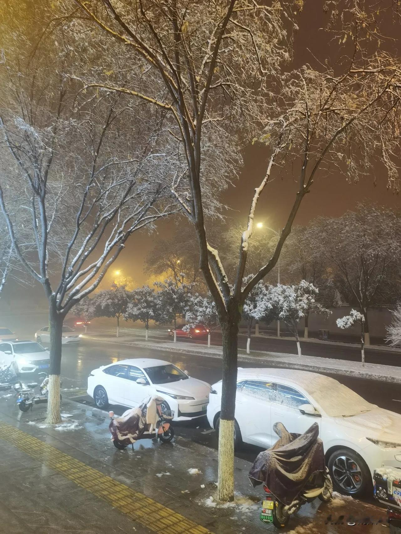 2025年1月24日，西安下雪，风雪夜归人！