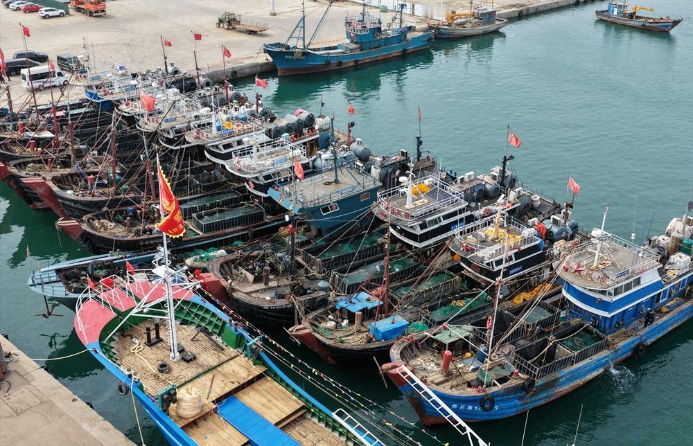 4月15日，山东烟台，长岛附近的海面上，10几艘渔船被海警围堵，截停后，从船上查