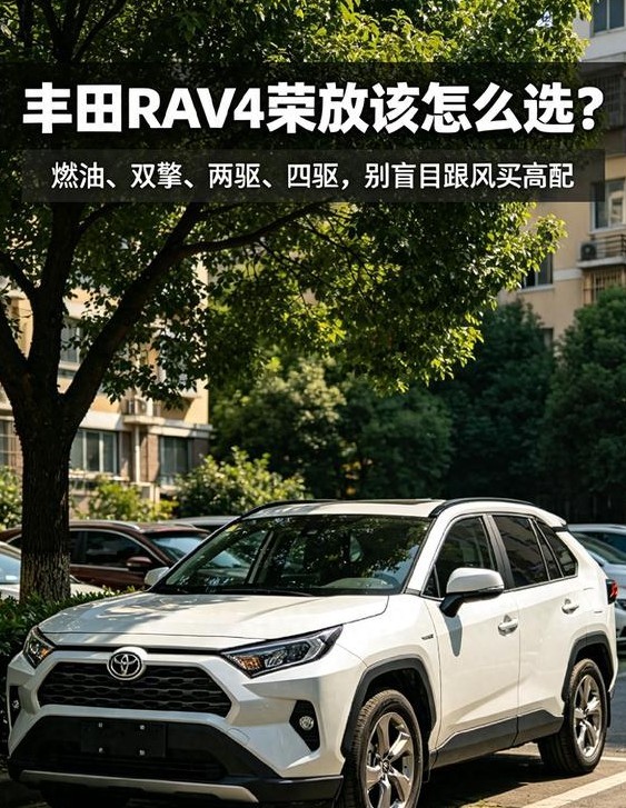 RAV4荣放这么多版本，八成人第一台就选错了