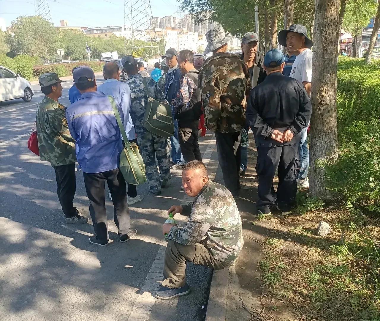 今年在新疆打工真不如在老家闲着划算些，好多上新疆在乌鲁木齐劳务市场和新疆各大小临