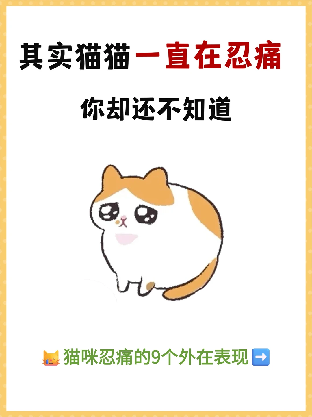猫咪有这9个表现说明它真的很痛了❗️