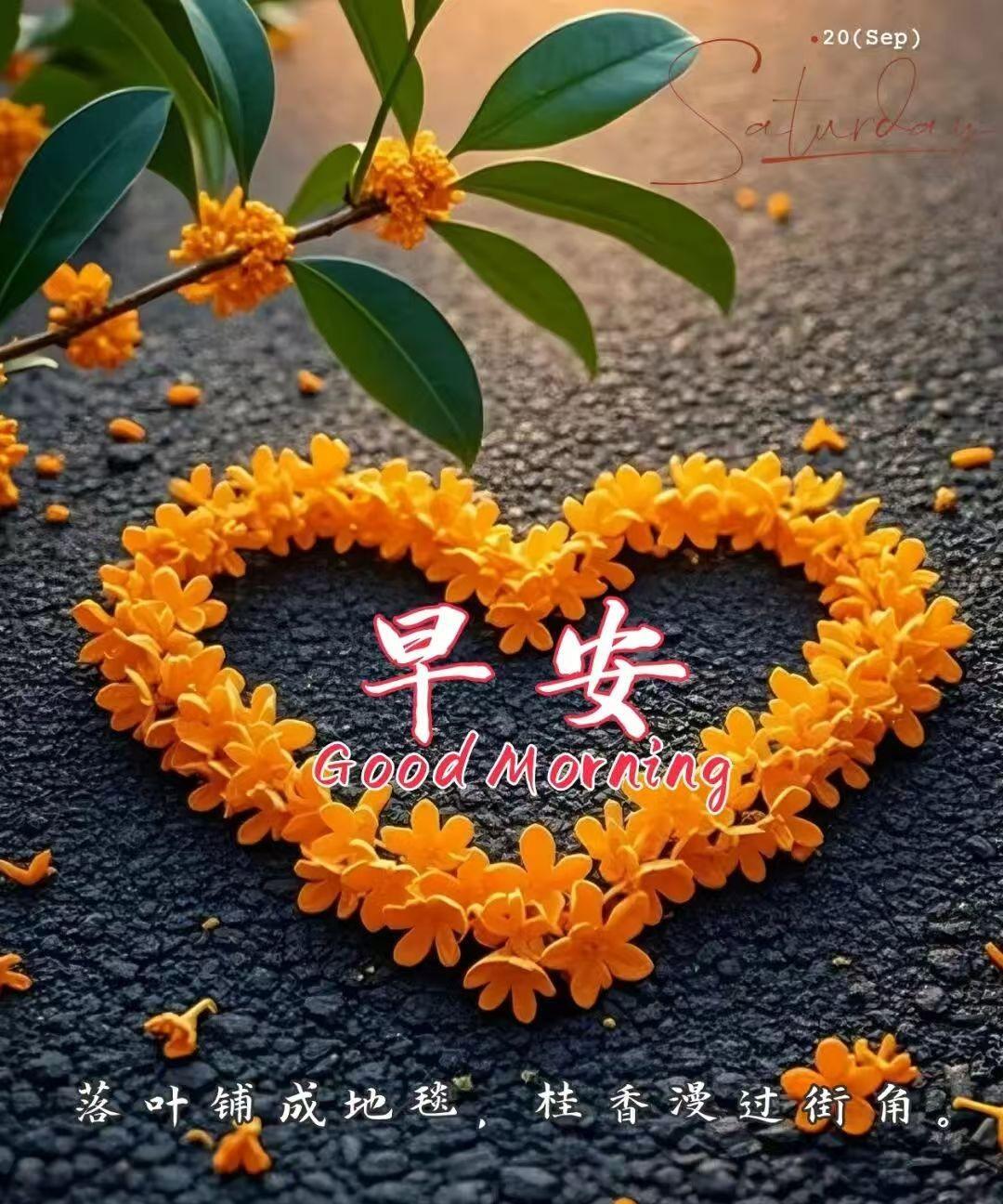 桂香满街，早安吉祥。
