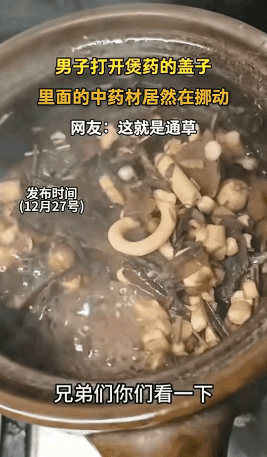 解释不清了！一名男子去中医馆拿药，回家煎了三个小时的药打开一看，发现药材里面居