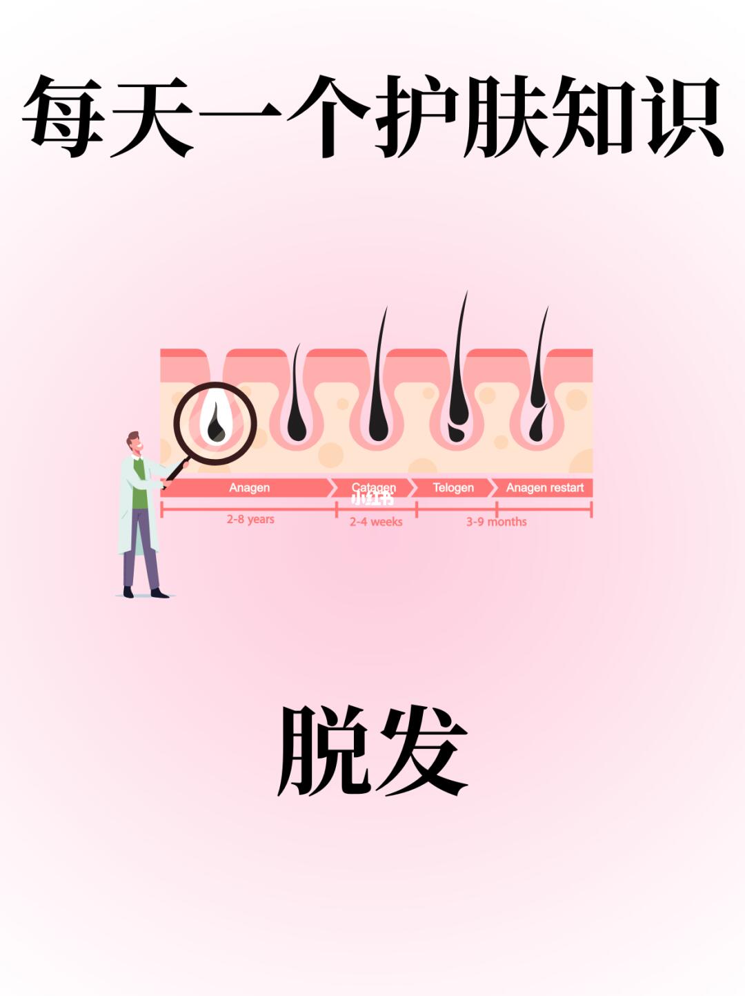 每天一个护肤知识：脱发