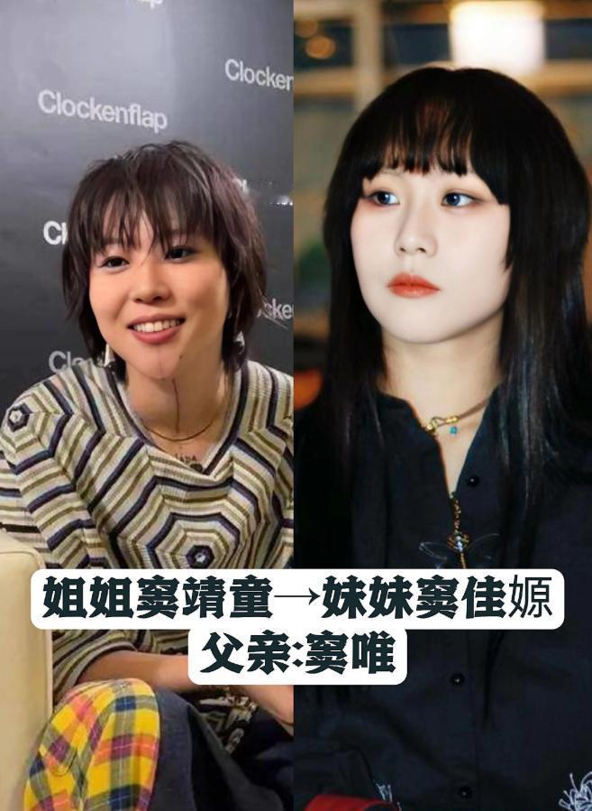 窦靖童和窦佳嫄，同父异母，姐妹俩都很漂亮。曾宝仪和曾国祥，同父异母，姐弟俩都是